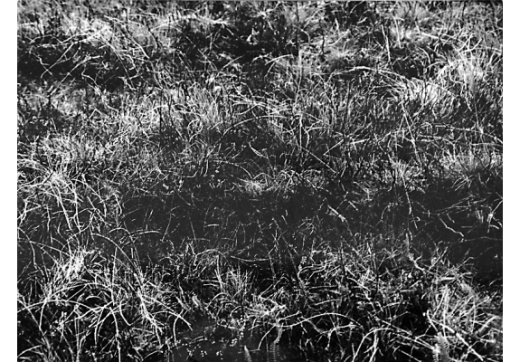 Detail from photographic installation